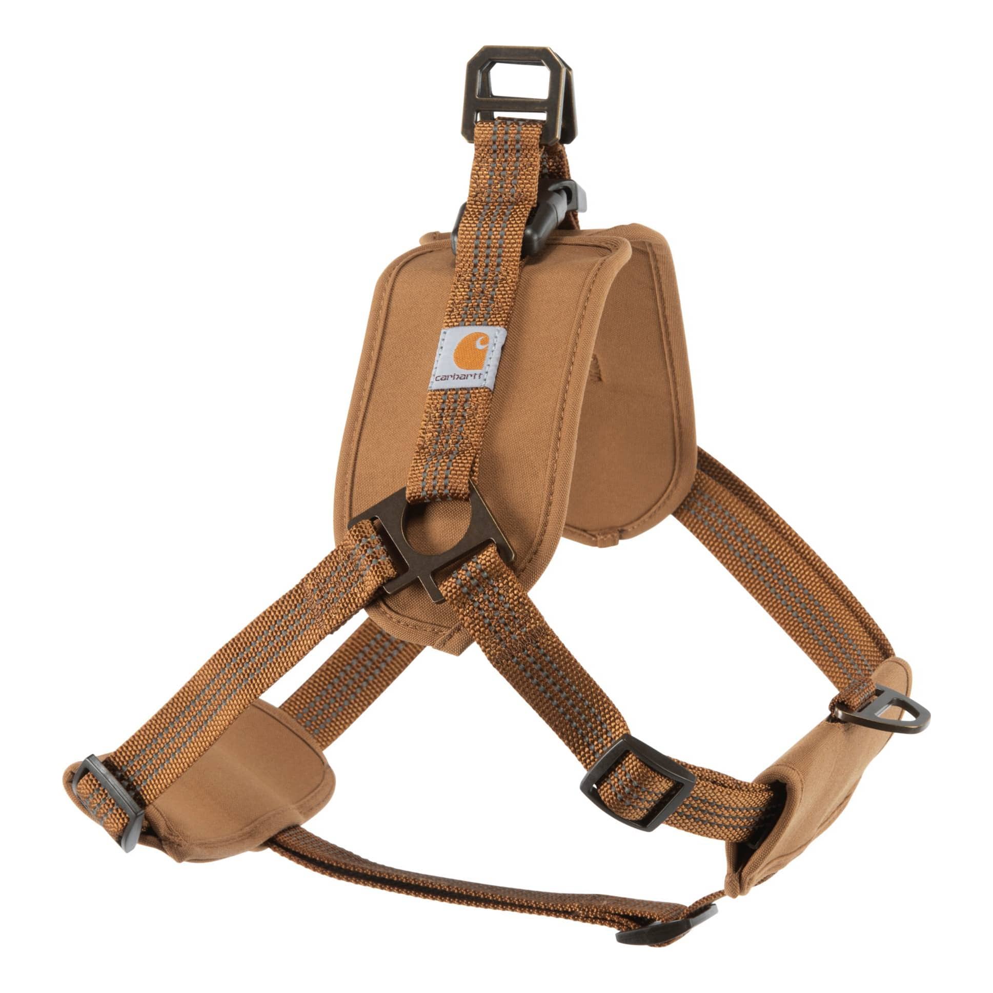 In training harness 2025