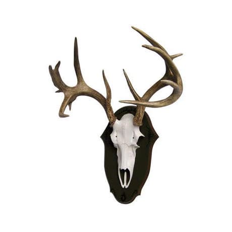 Mountain Mike's Black Forest Deer Mounting Kit