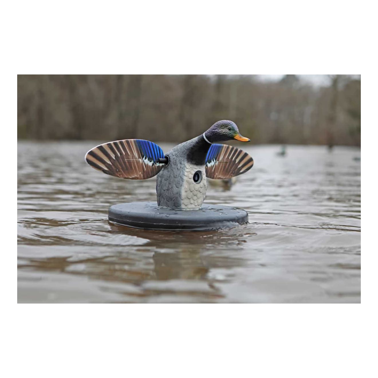 Mojo Outdoors® Elite Series Floater Duck Decoy - Mallard - In the Field