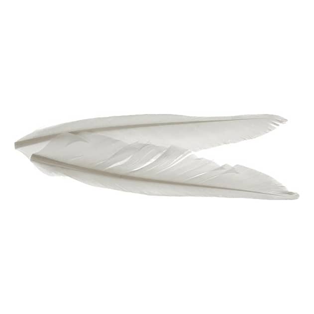 Cabela's Duck Quill - White