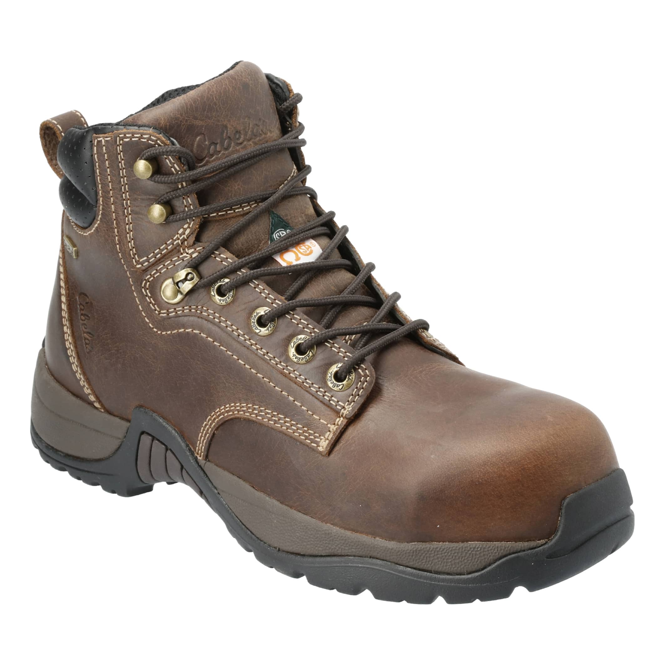 Cabela’s Men’s Roughneck™ Ledger CSA Waterproof Composite Toe Work Boots