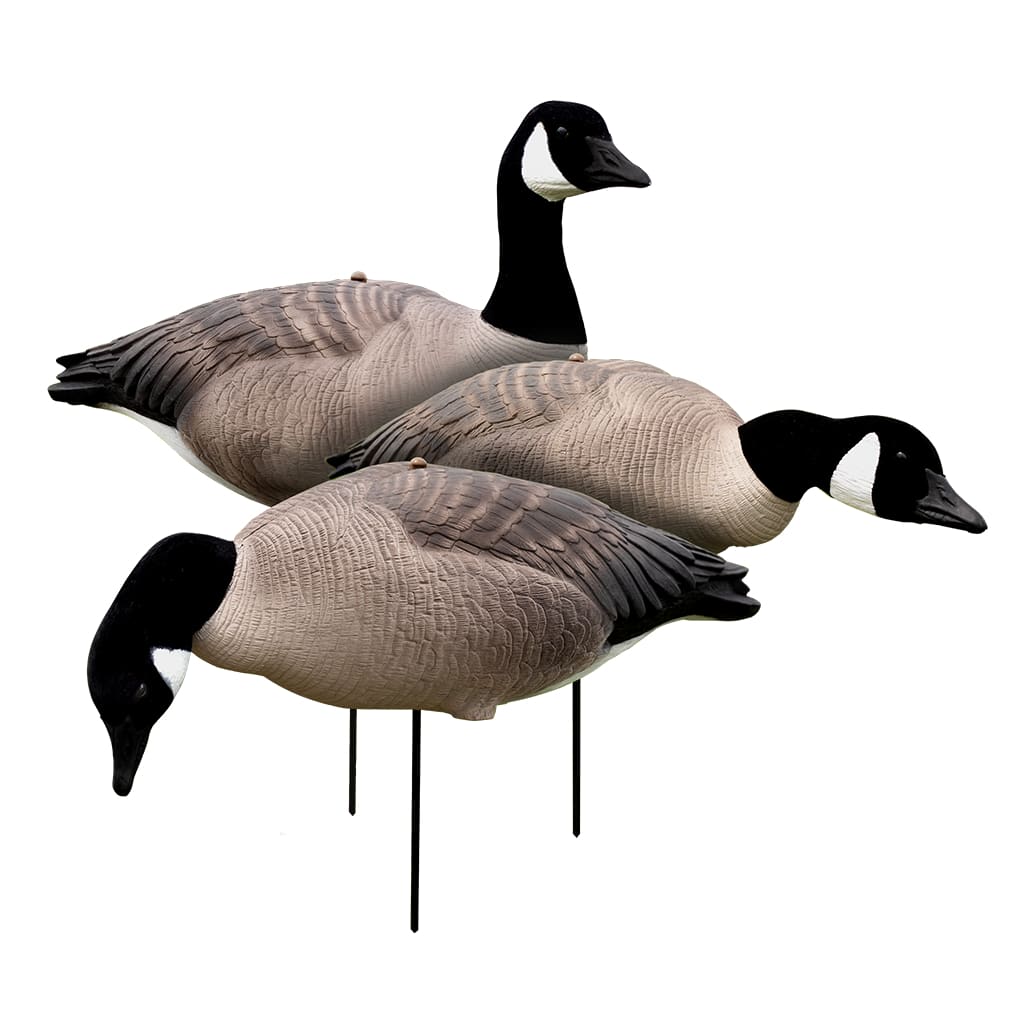 White Rock Decoys EVAC Full-Body Canada Goose Decoys