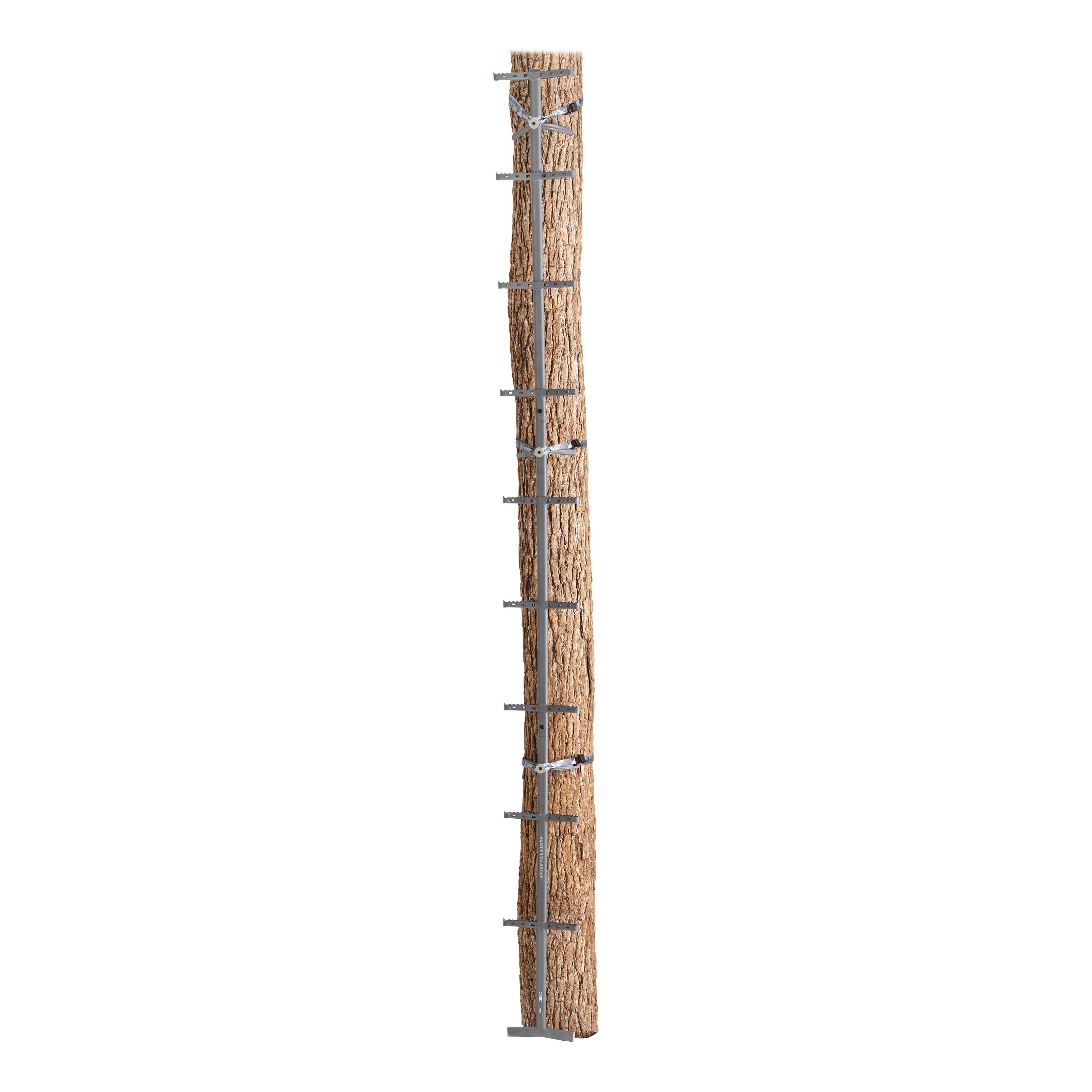 HAWK® Traction Climbing Stick Ladder