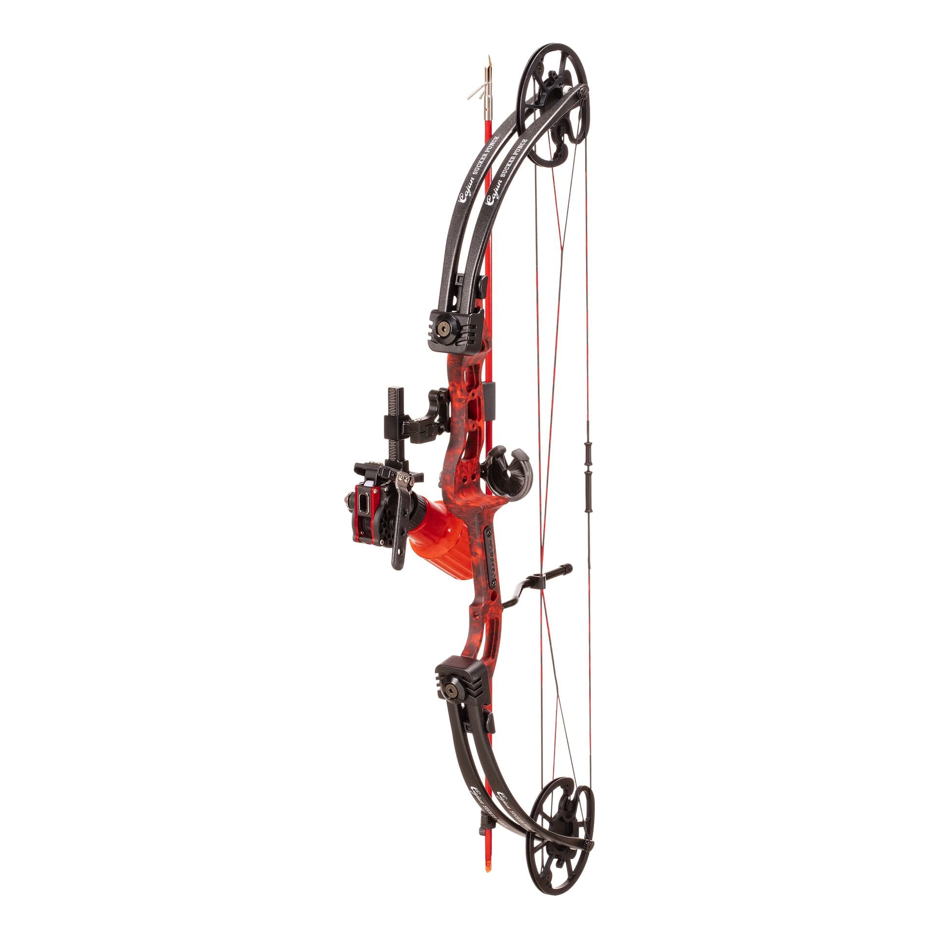 bow fishing supplies