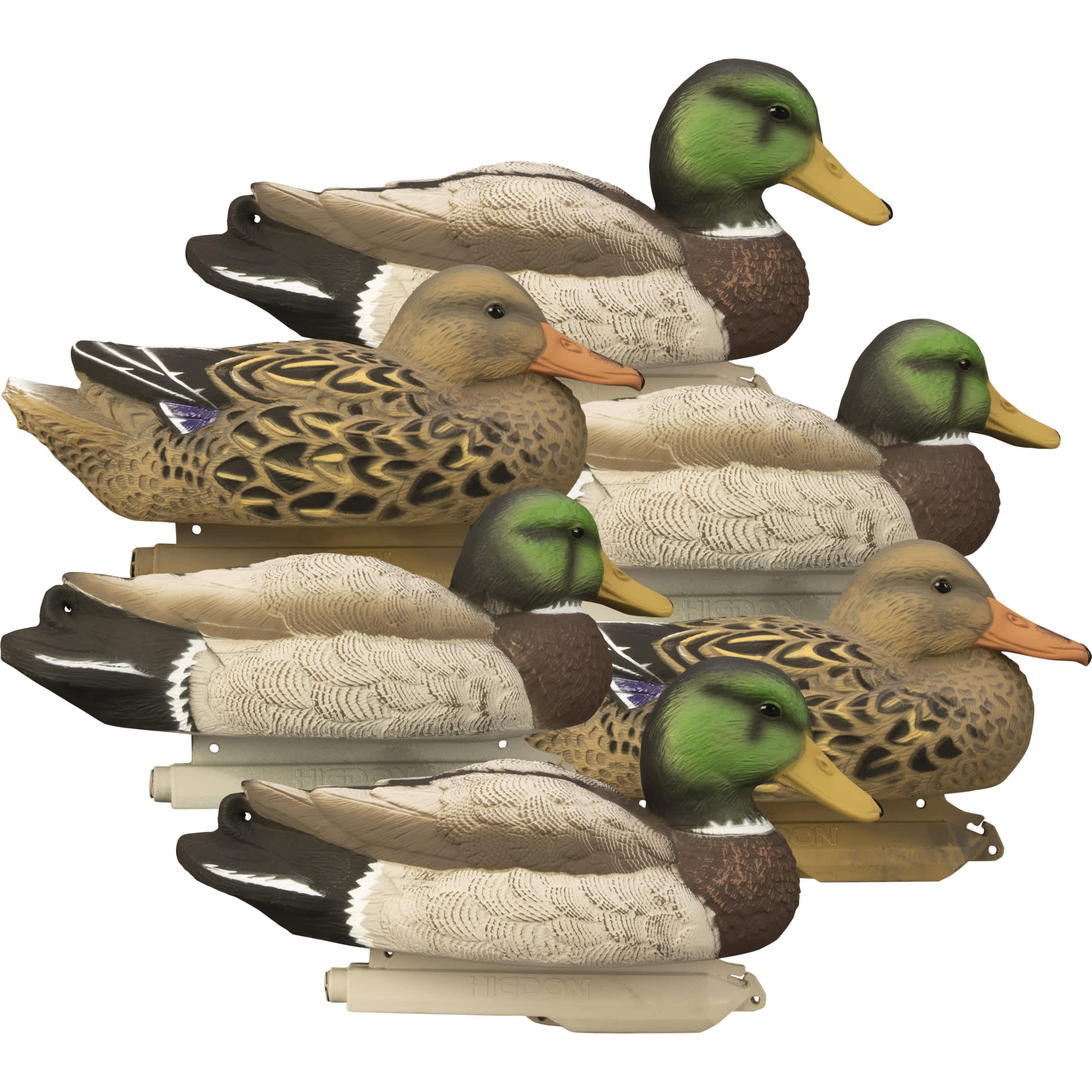 Higdon Outdoors Standard Foam-Filled Mallard Duck Decoys