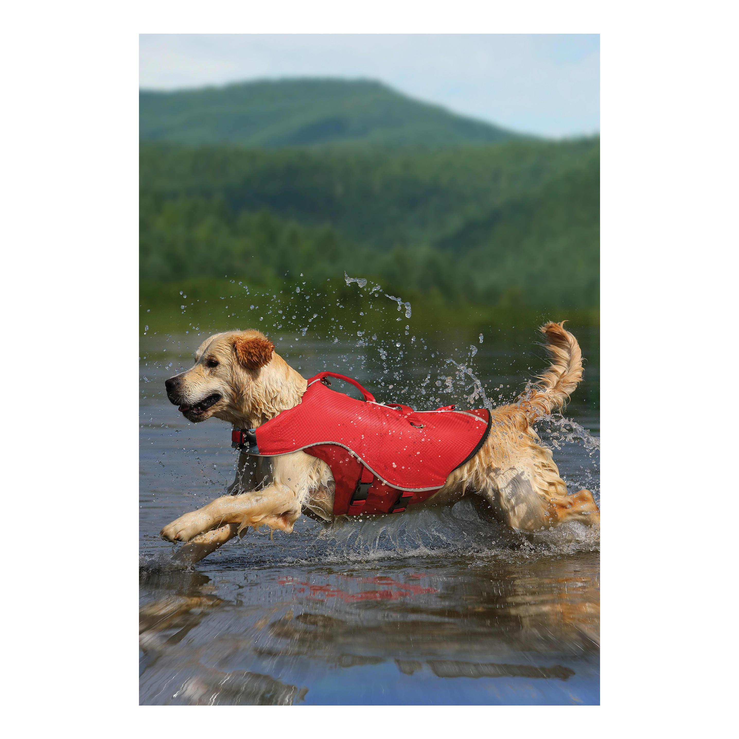 Kurgo® Surf n’ Turf Dog Life Jacket - in use