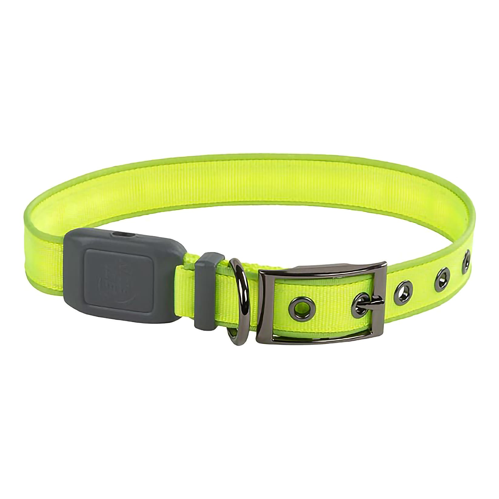 Nite Ize® Nitedog™ Rechargeable LED Collar - Lime