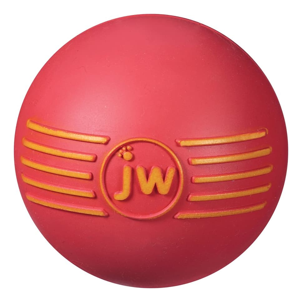 JW Pet iSqueak Ball Dog Toy - Medium