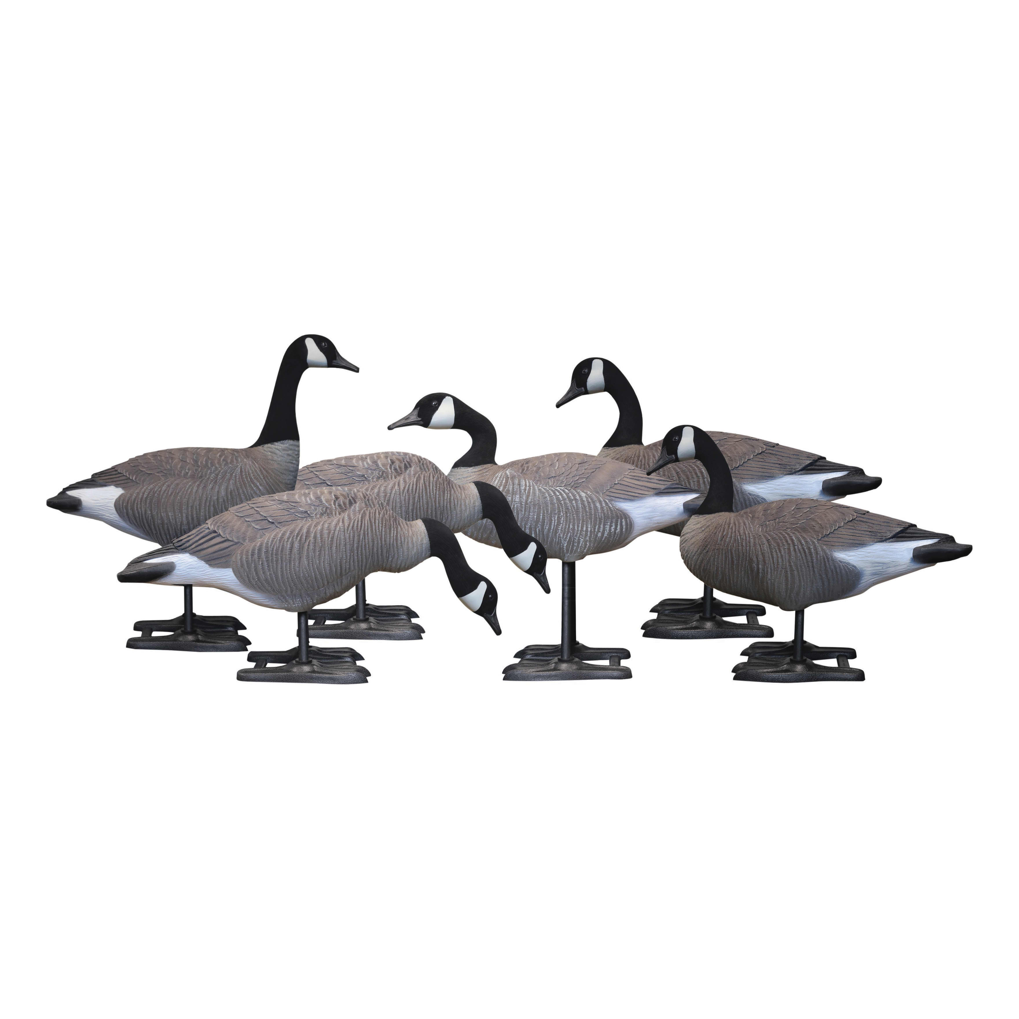 BigFoot™ B2 Full-Body Canada Goose Variety Decoy Pack