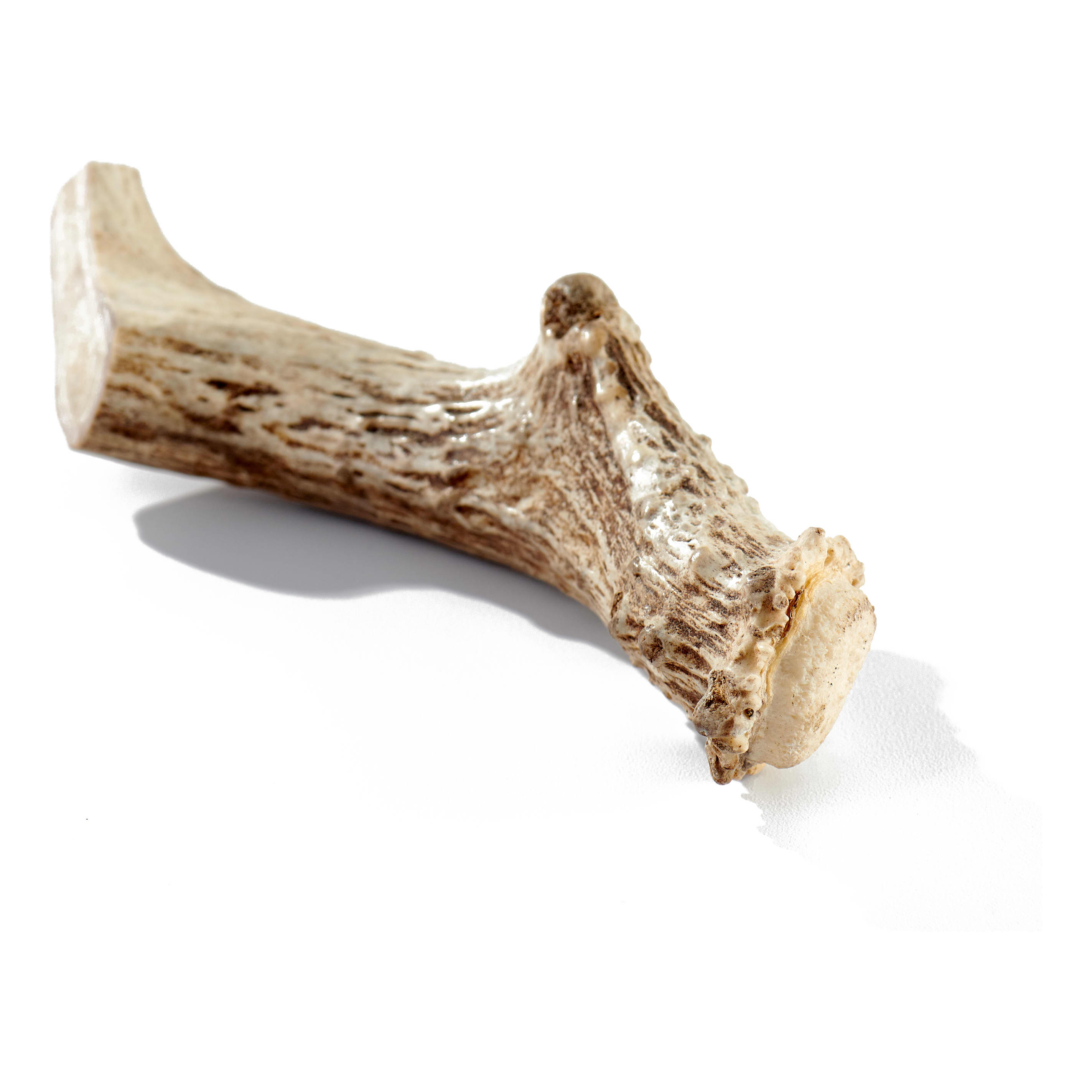 Buck Bone Organics Deer Antler Chews