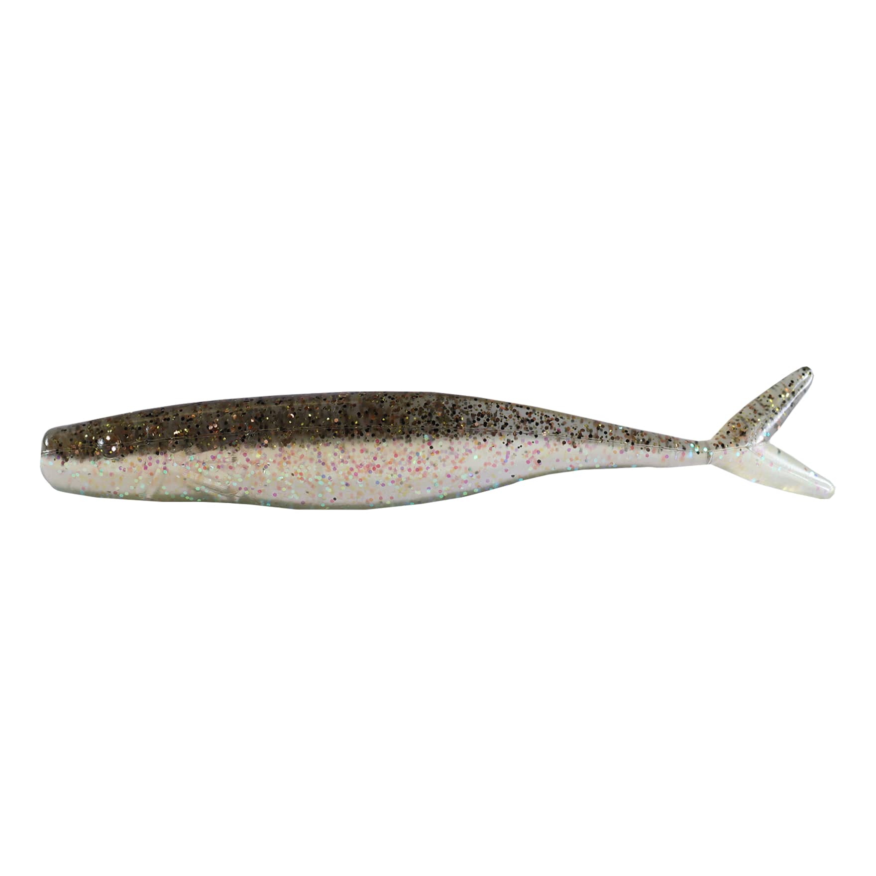 Northern Minnow