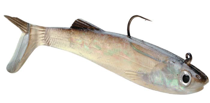 STORM® WildEye® Live Anchovy Lure