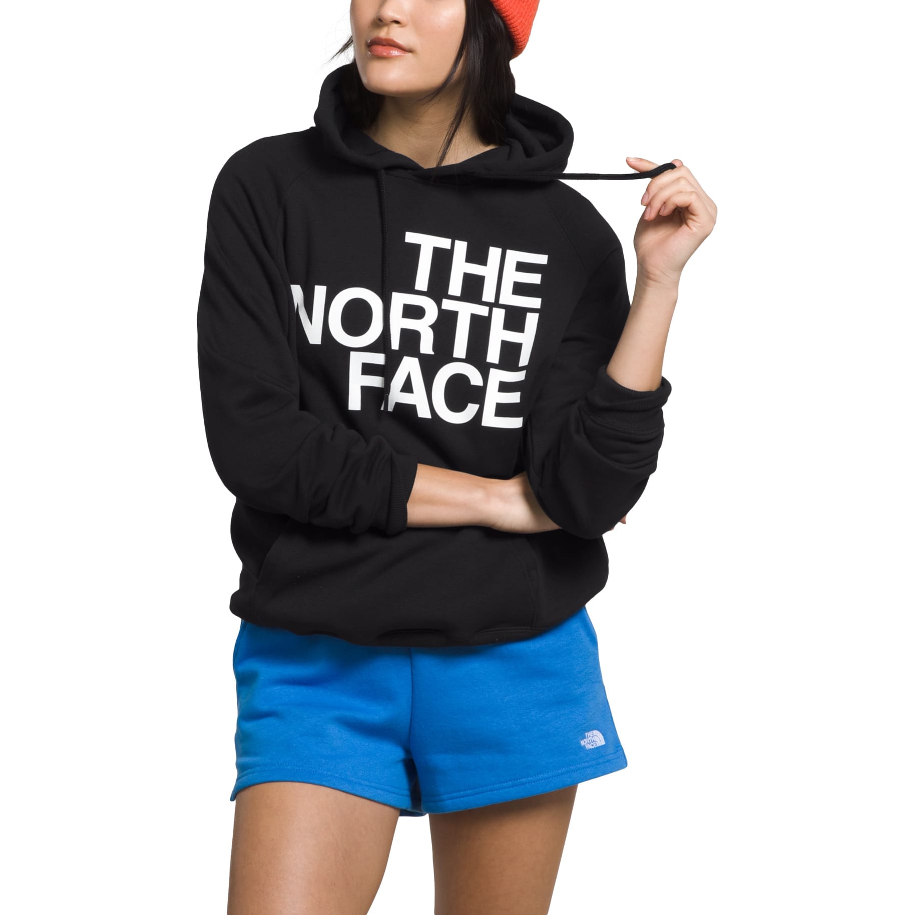 North face bearscape hoodie womens sale
