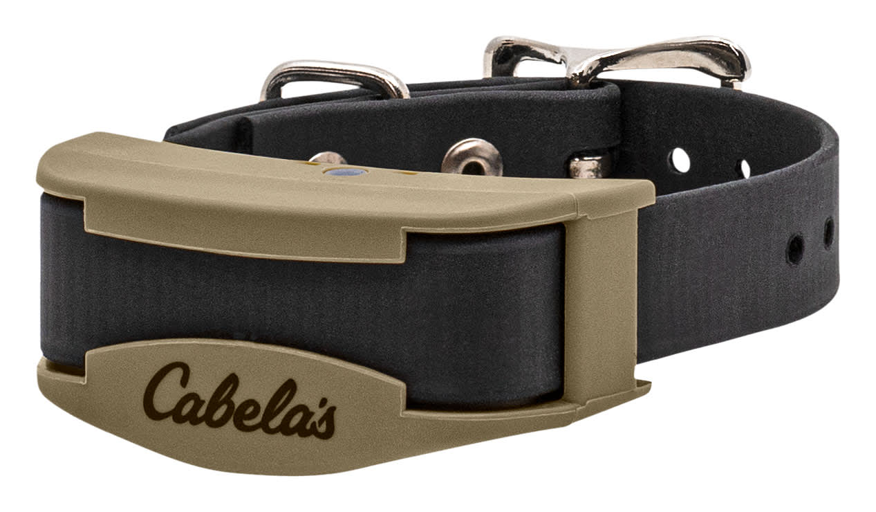 Cabela's electric dog collars shop
