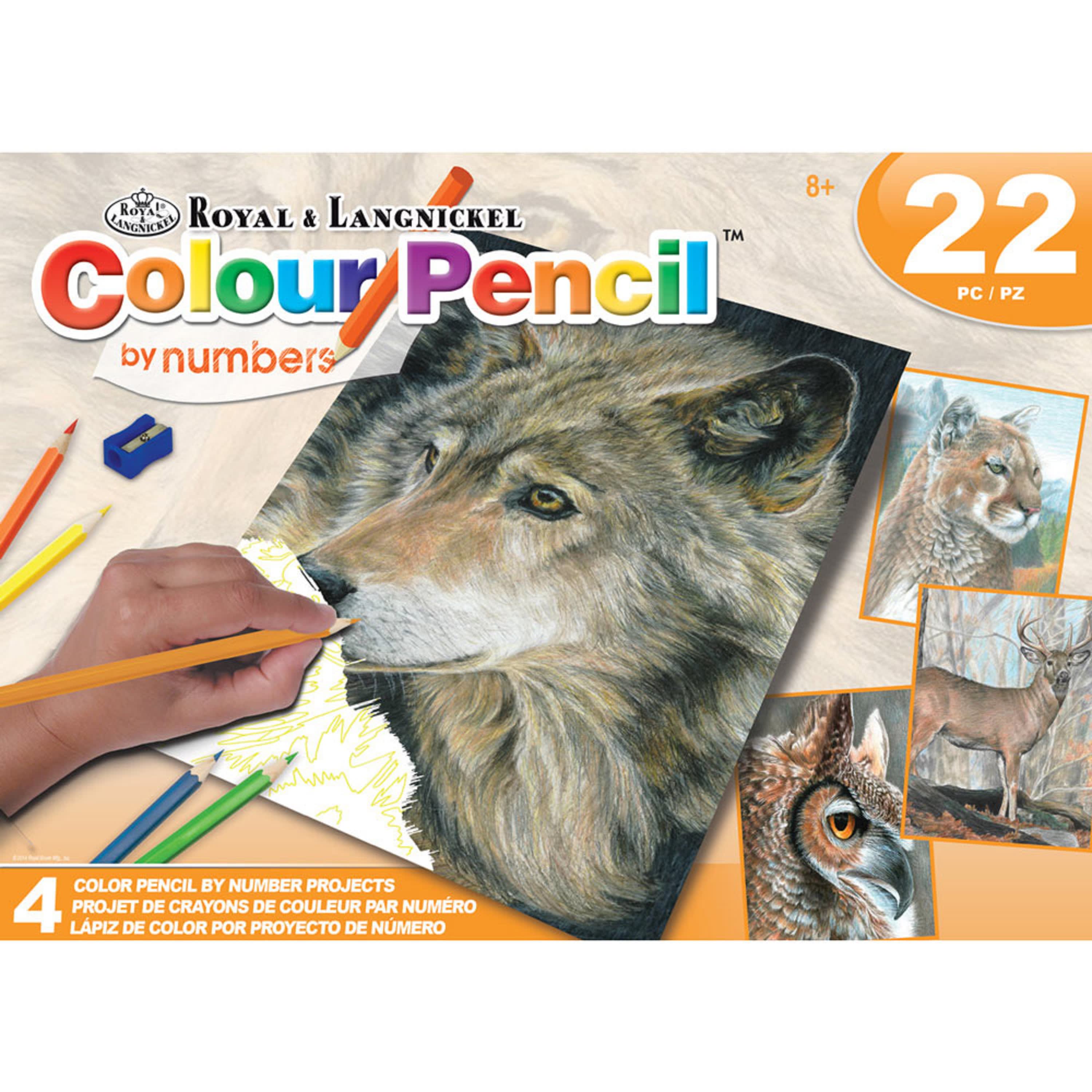 Royal & Langnickel Colour Pencil Set - American Wildlife