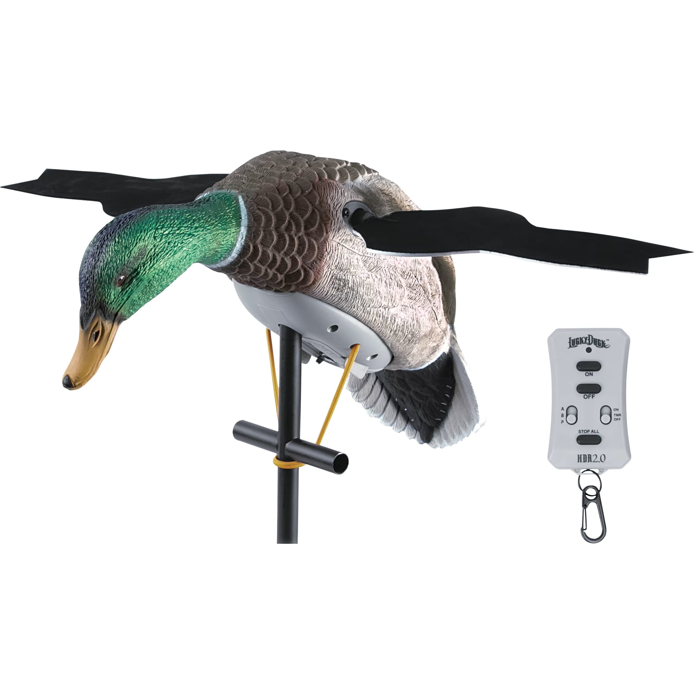Lucky Duck® XHDI Motorized Mallard Duck Decoy with Remote