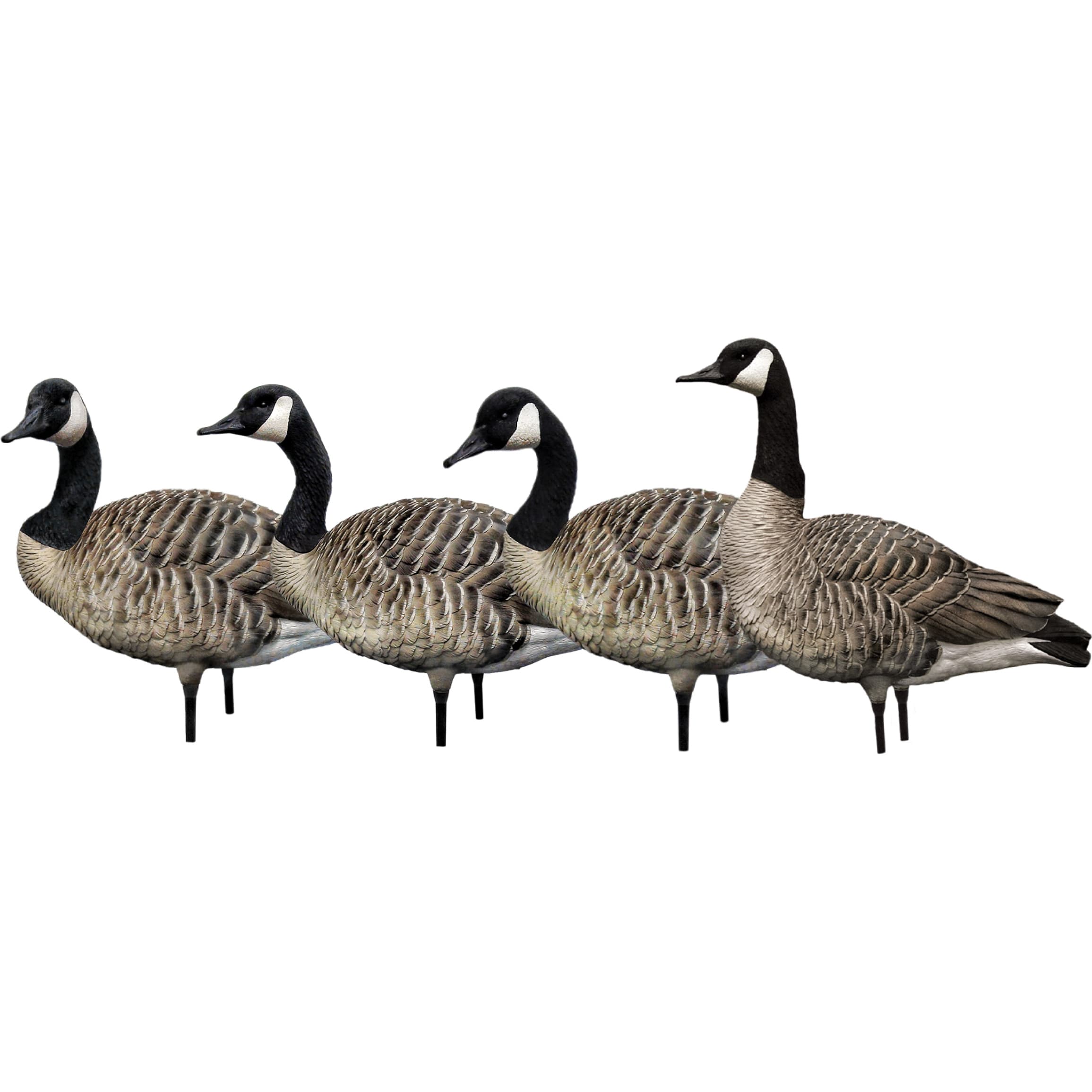 Avian-X® AXF Active Honker Goose Decoys 4 Pack