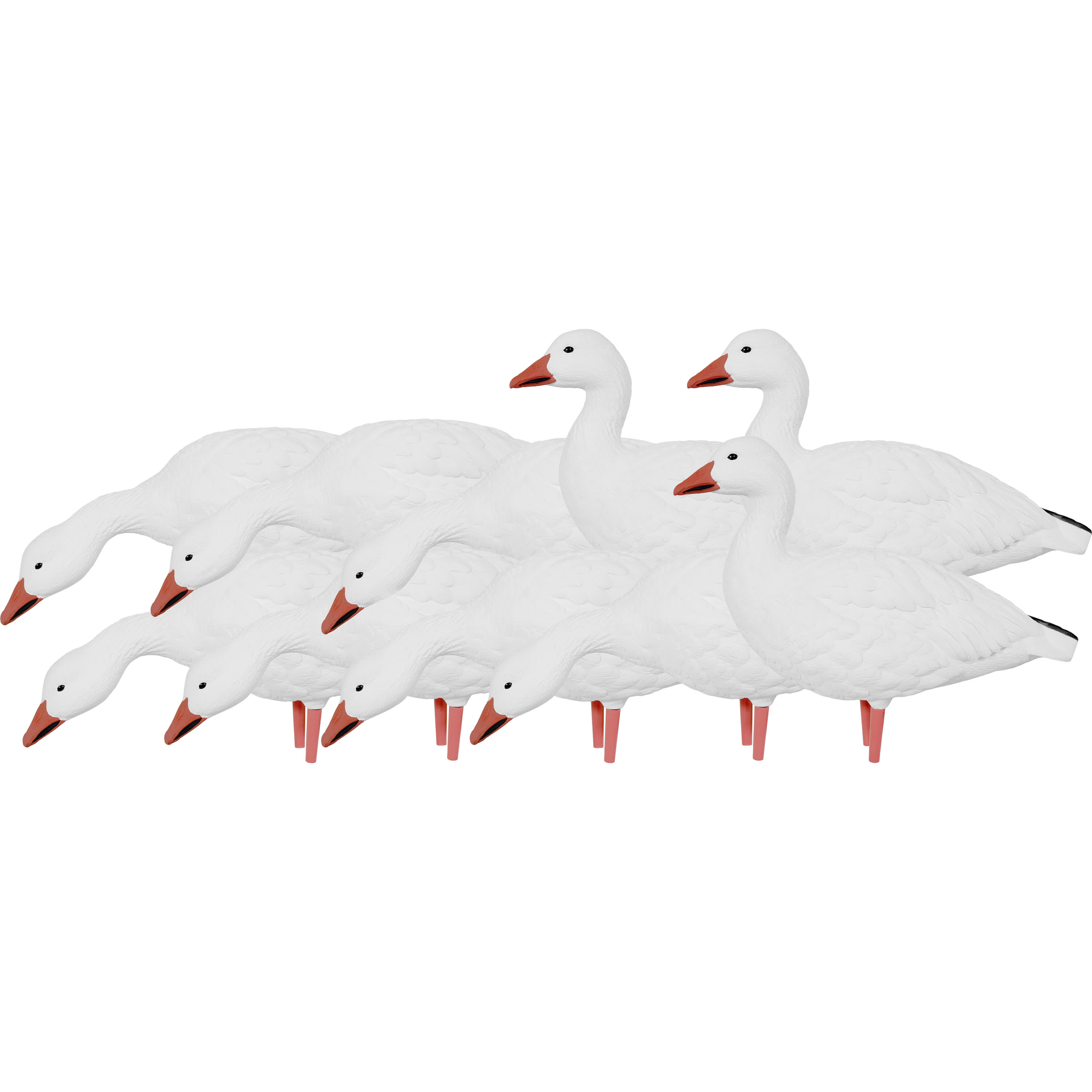 Avian-X AXP Snow Goose Decoys Adult 10-Pack
