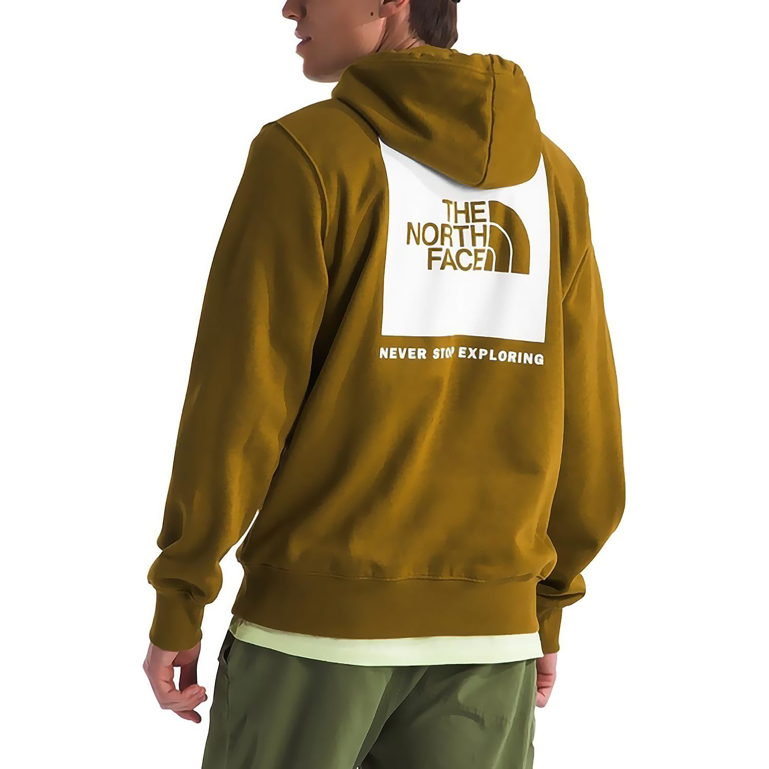 The North Face Men s Box NSE Pullover Hoodie Cabela s Canada