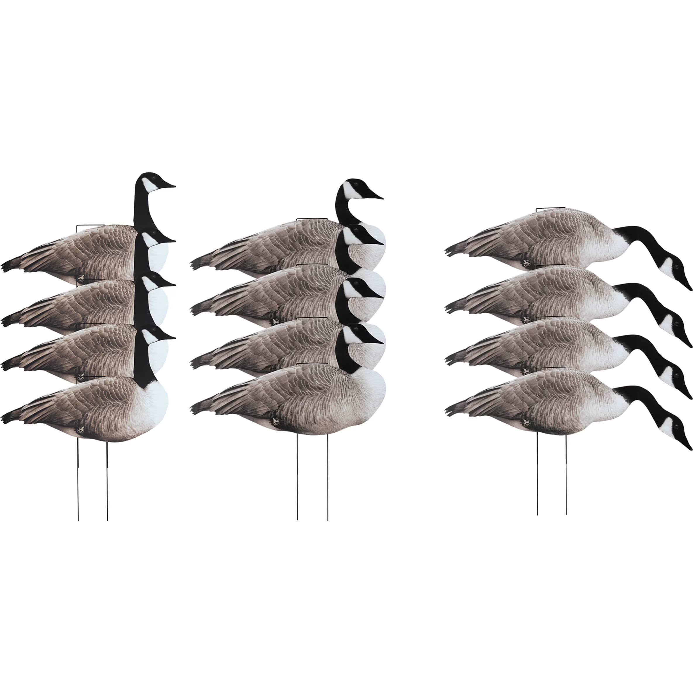 Northern Flight Canada Goose V2 Silhouette Goose Decoys Cabela s Canada