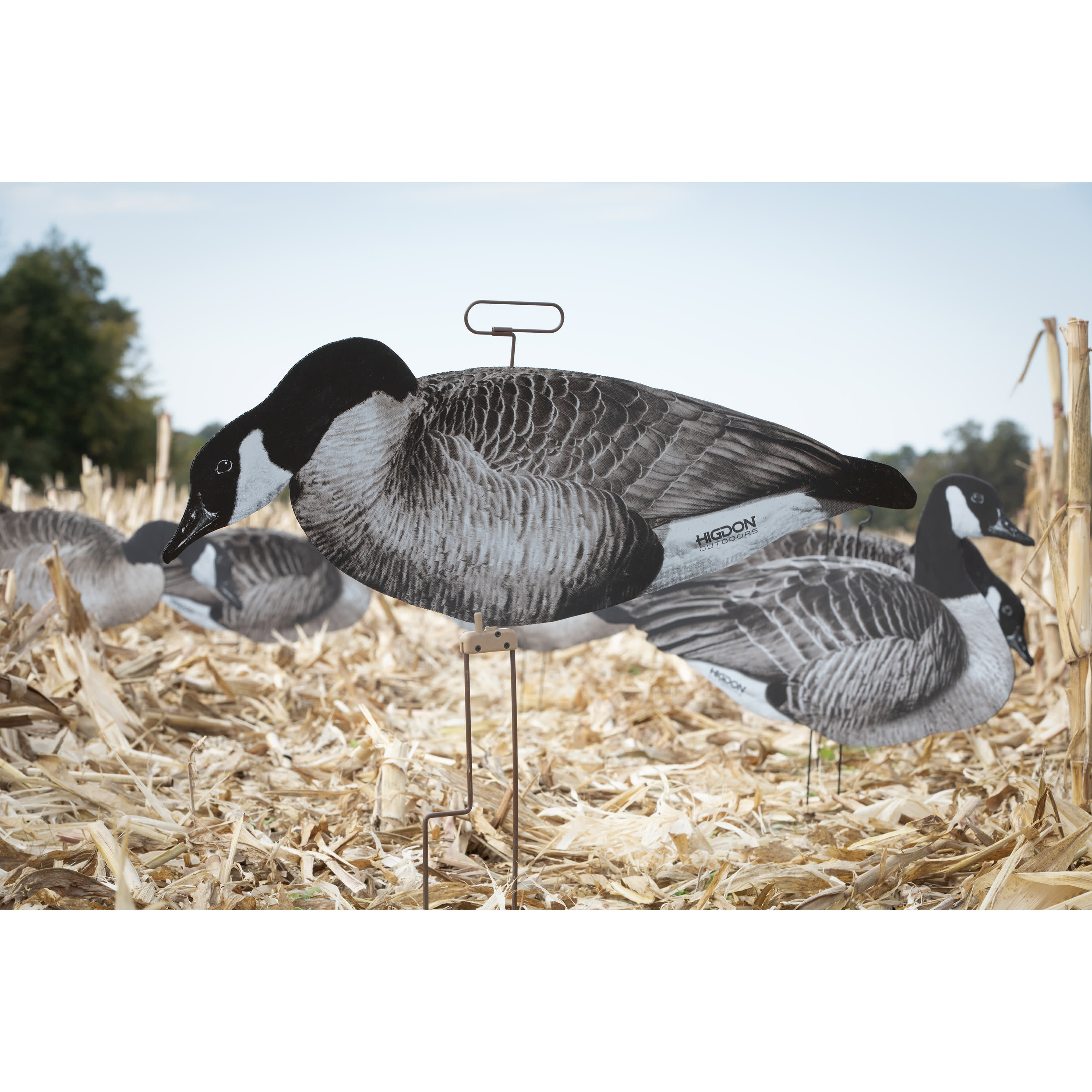 Higdon FLATS Magnum Canada Goose Motion Silhouette – 12-Pack