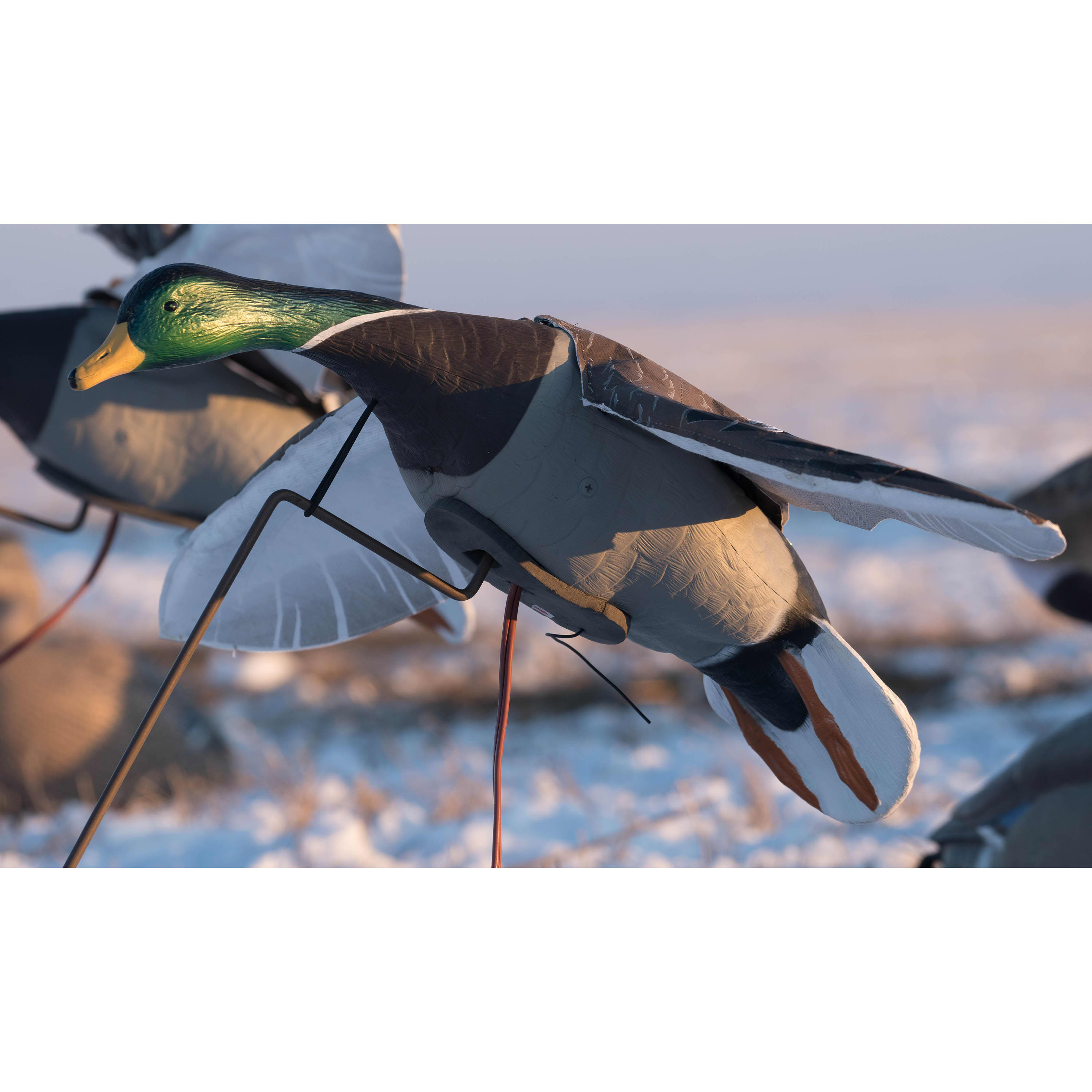 Higdon Clone Mallard Motorized Decoy