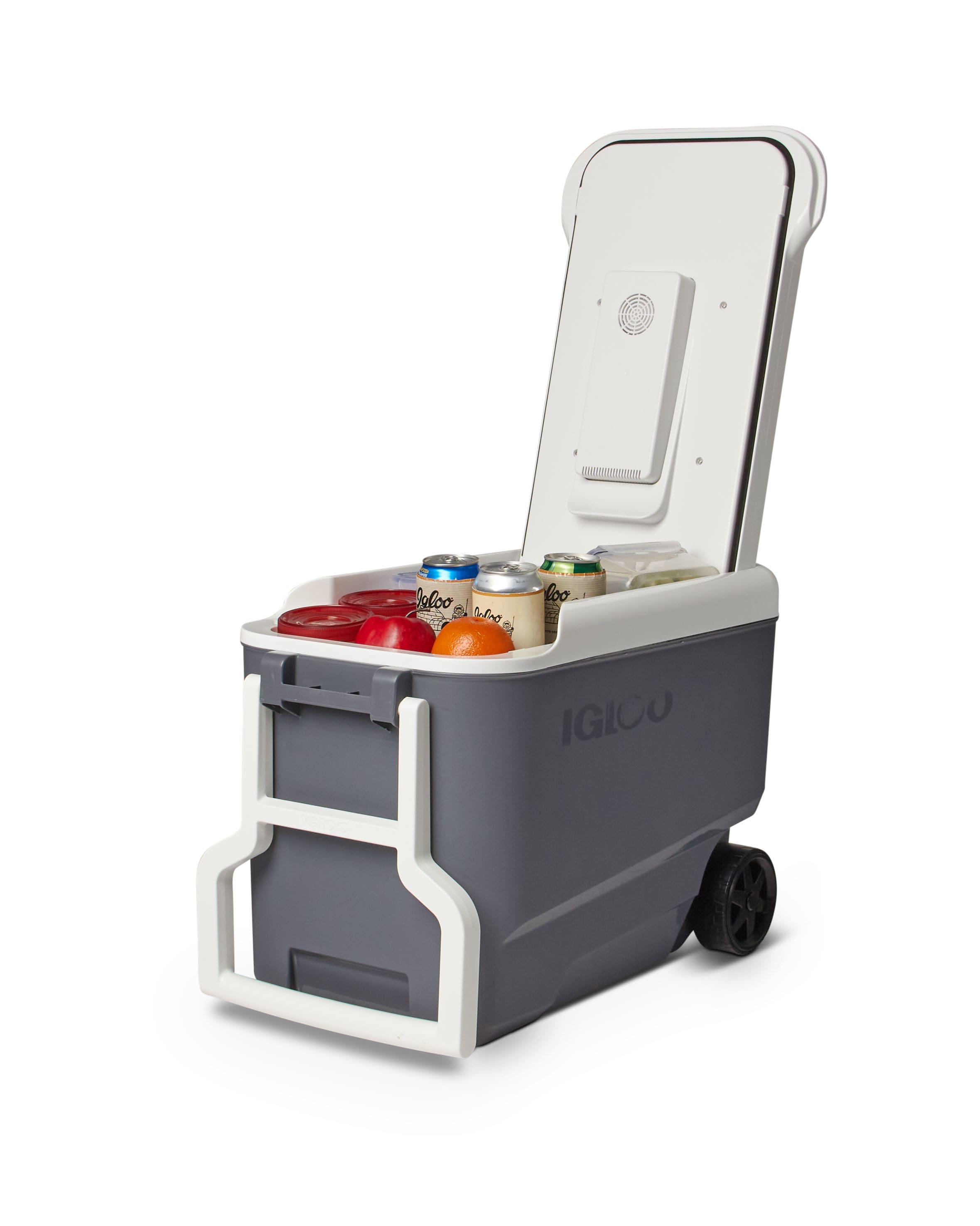 Igloo® Versatemp™ 35-Quart Wheeled Electric Cooler