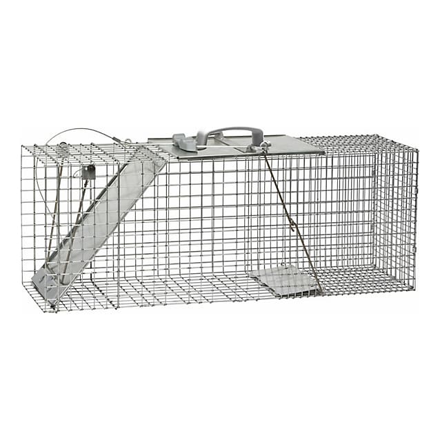 Catcher Kids Net Catching Cage Outdoor Fishing Container Critter