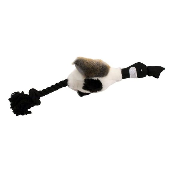 Floating duck dog toy store