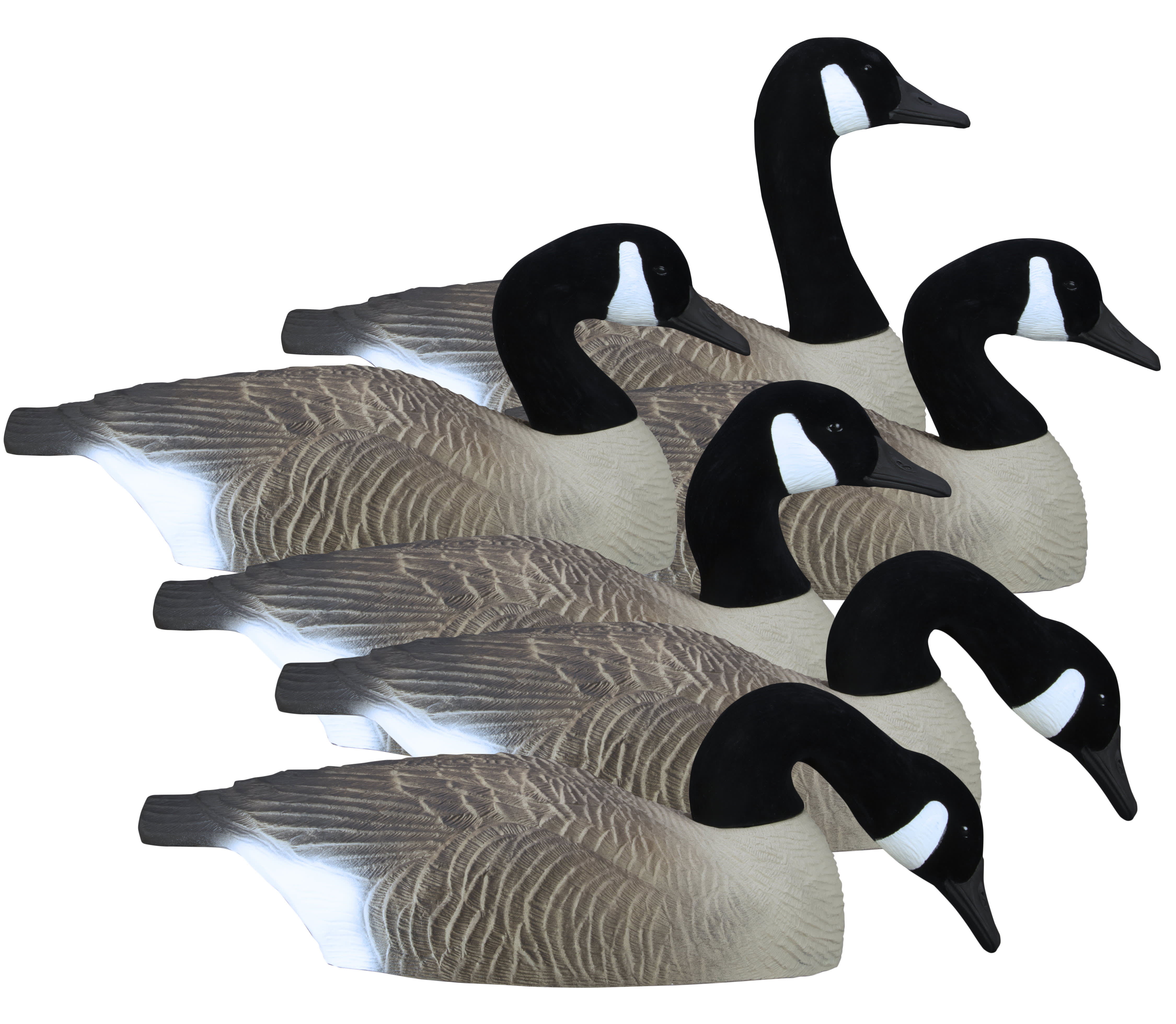 Higdon Standard Canada Goose Shells