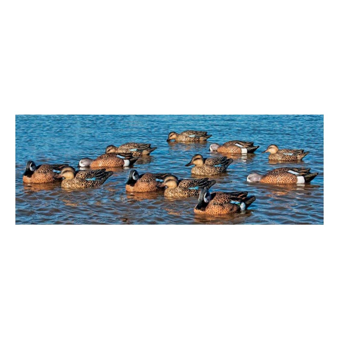 Picture for category Water Decoys