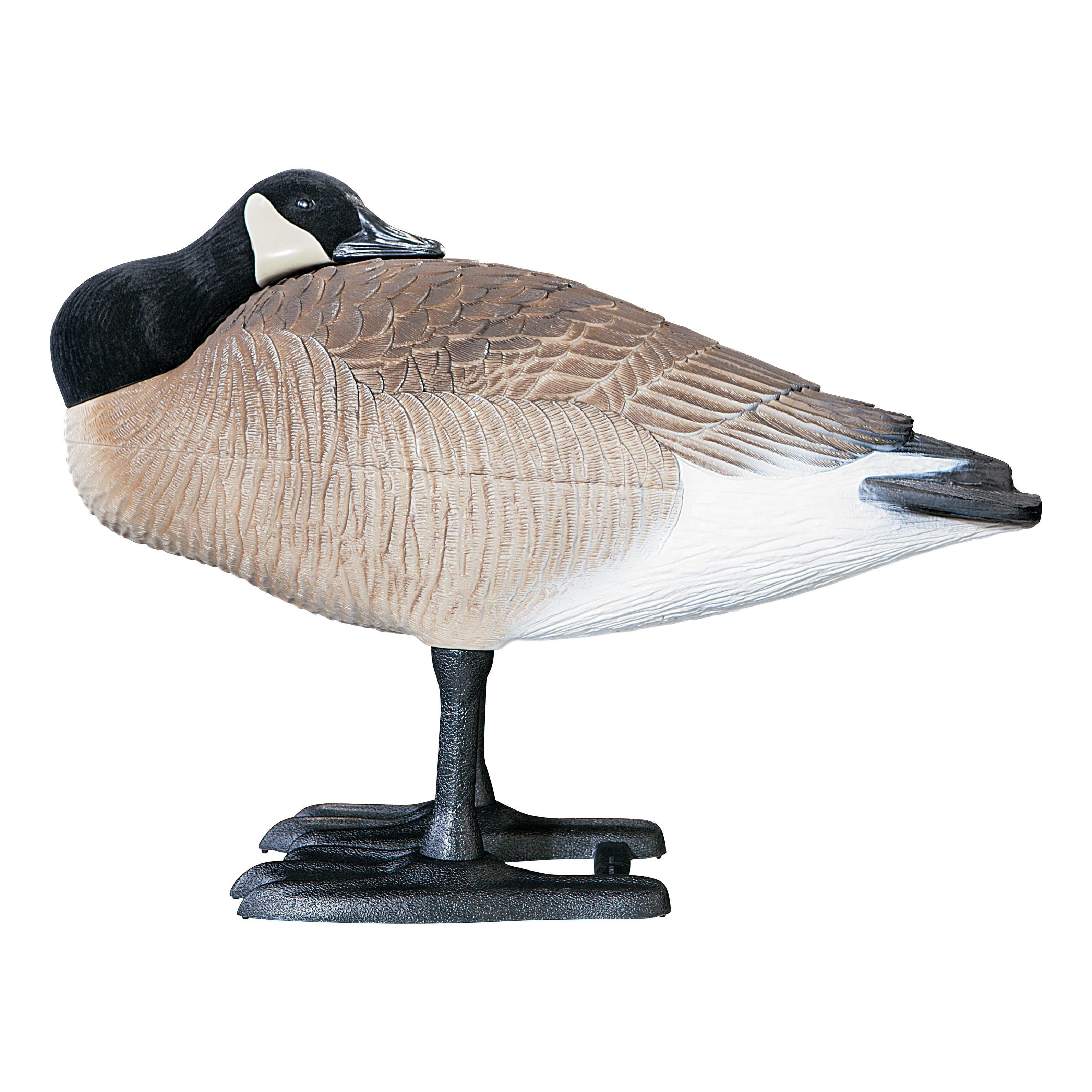 Used bigfoot canada goose decoys for sale 2025