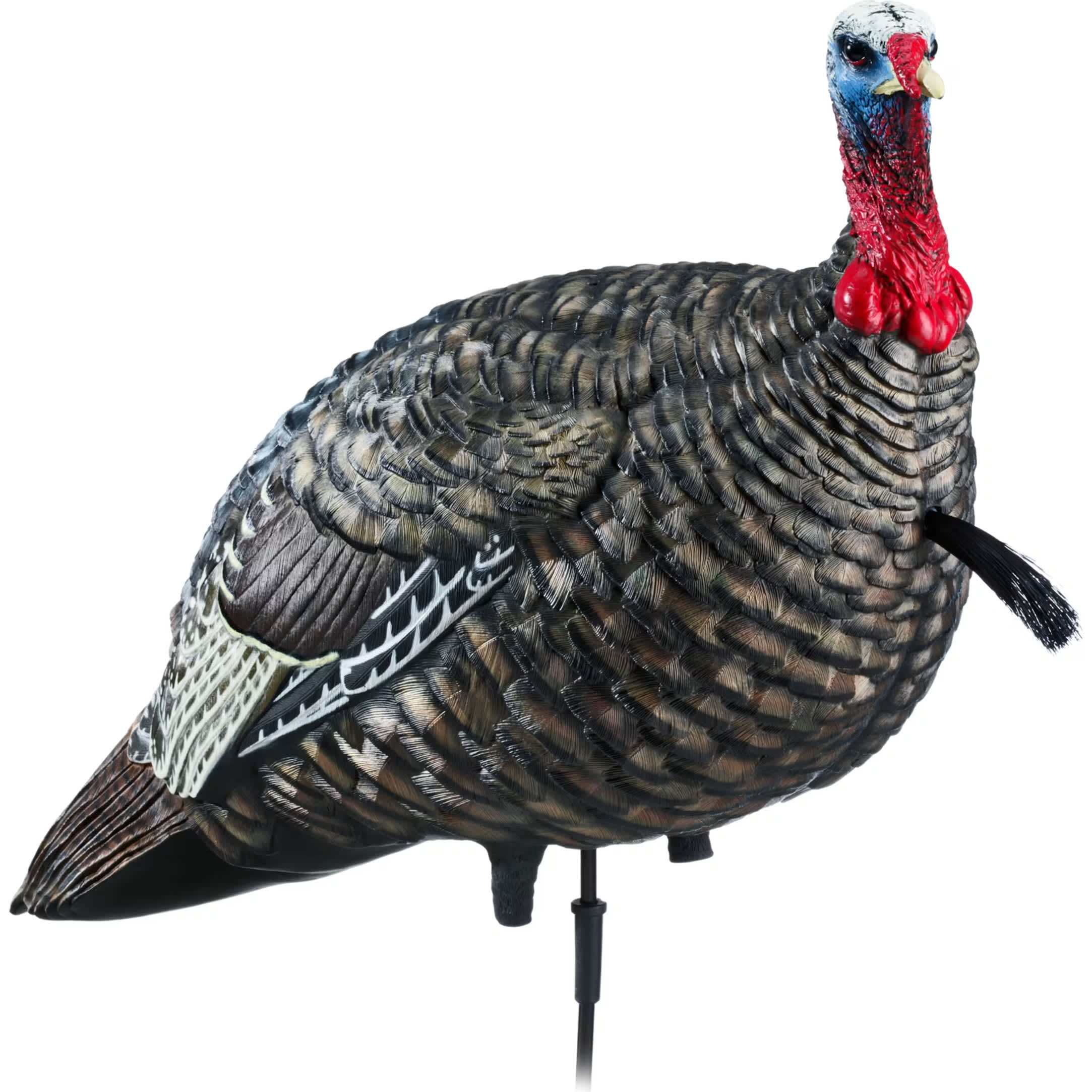 Reel Game Calls - Free crow call with every Turkey Reel?