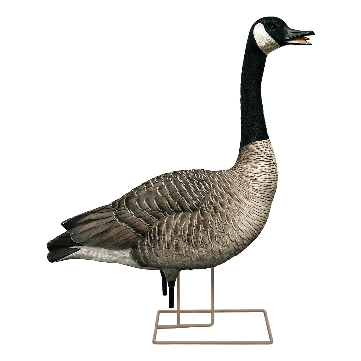 AvianX® Fusion Honker GooseDecoy Pack Cabela's Canada