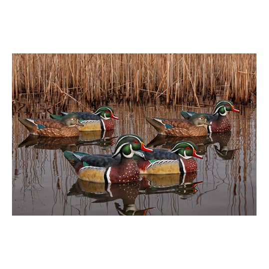 AvianX® Top Flight Wood Duck Decoys Cabela's Canada