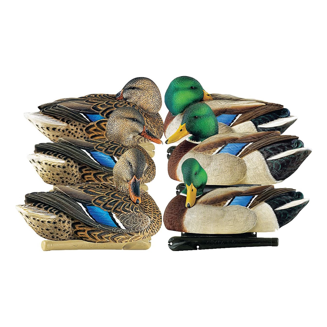 AvianX® Preener/Rester Mallard Decoys Six Pack Cabela's Canada