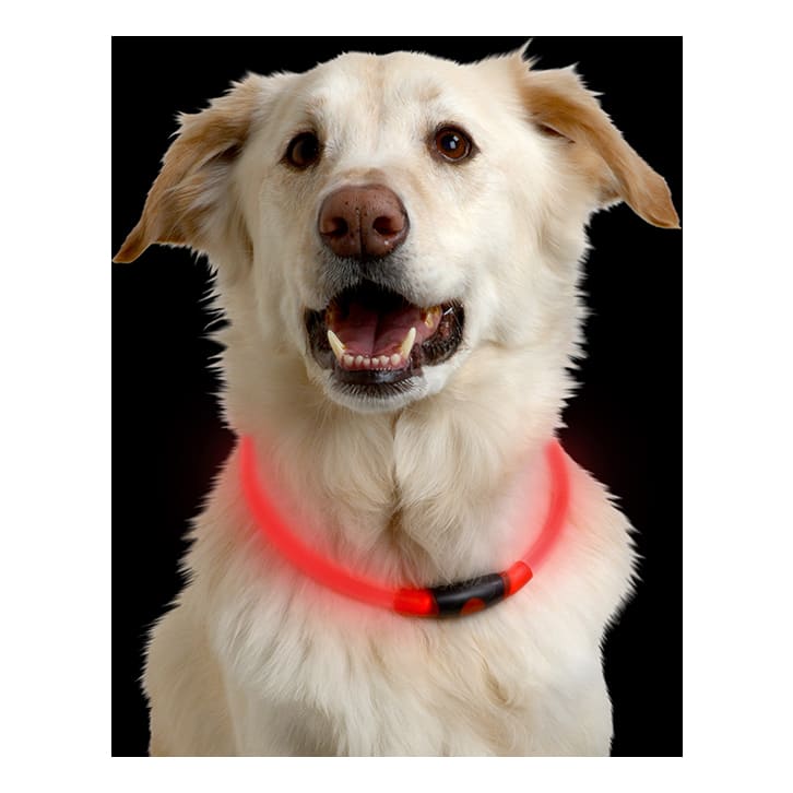 Nite Ize NiteHowl LED Pet Safety Necklace - Red In Use
