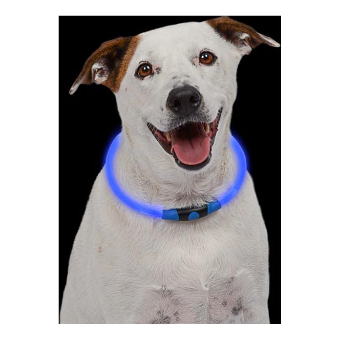 Nite Ize NiteHowl LED Pet Safety Necklace - Blue In Use