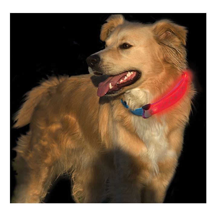Nite Ize NiteDawg LED Collar Cover - Fits Comfortably Over Collar