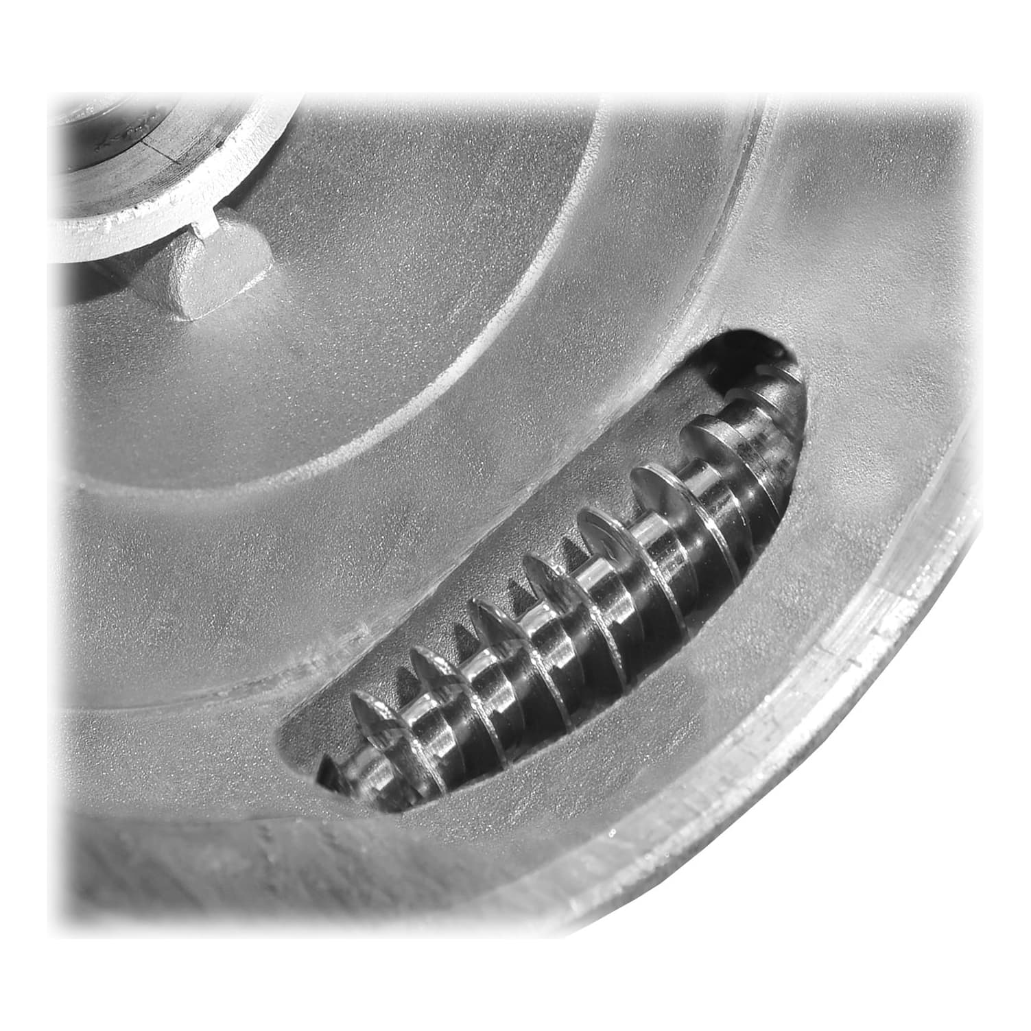 Cabela’s® Pro Series DC Meat Grinder Cabela's Canada