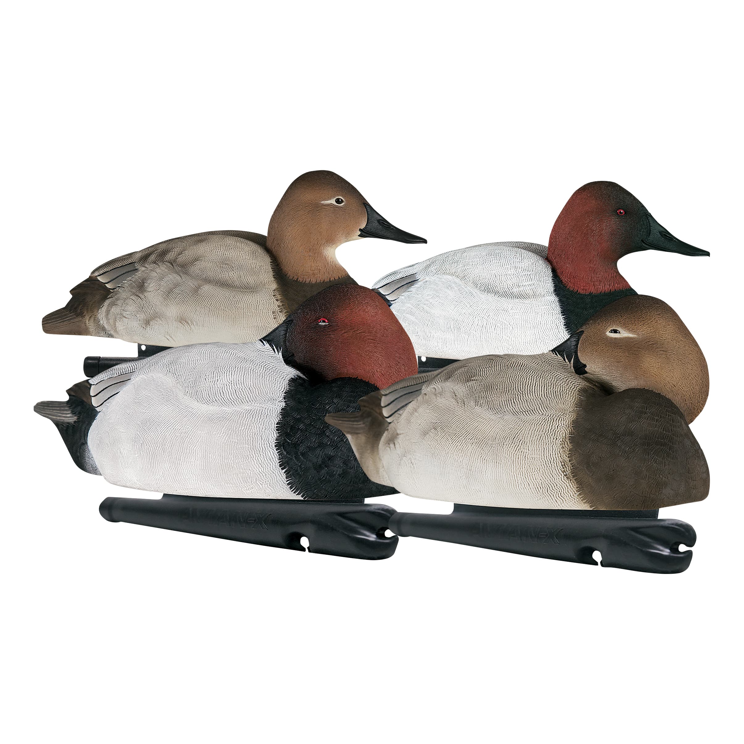 Avian-X Topflight Canvasback Duck Decoys – Six-Pack