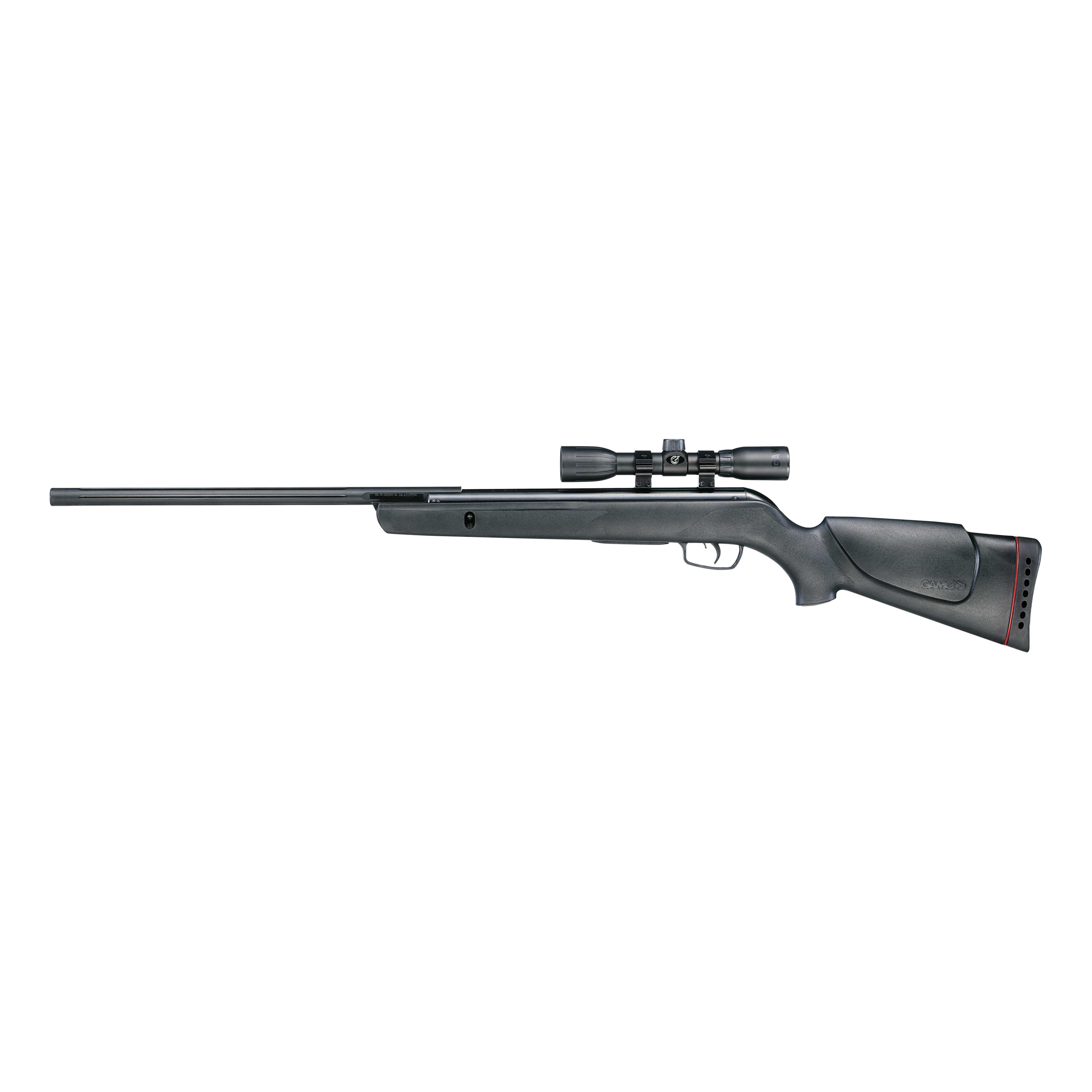 Gamo® Varmint Air Rifle with Scope
