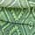 Green Mamba