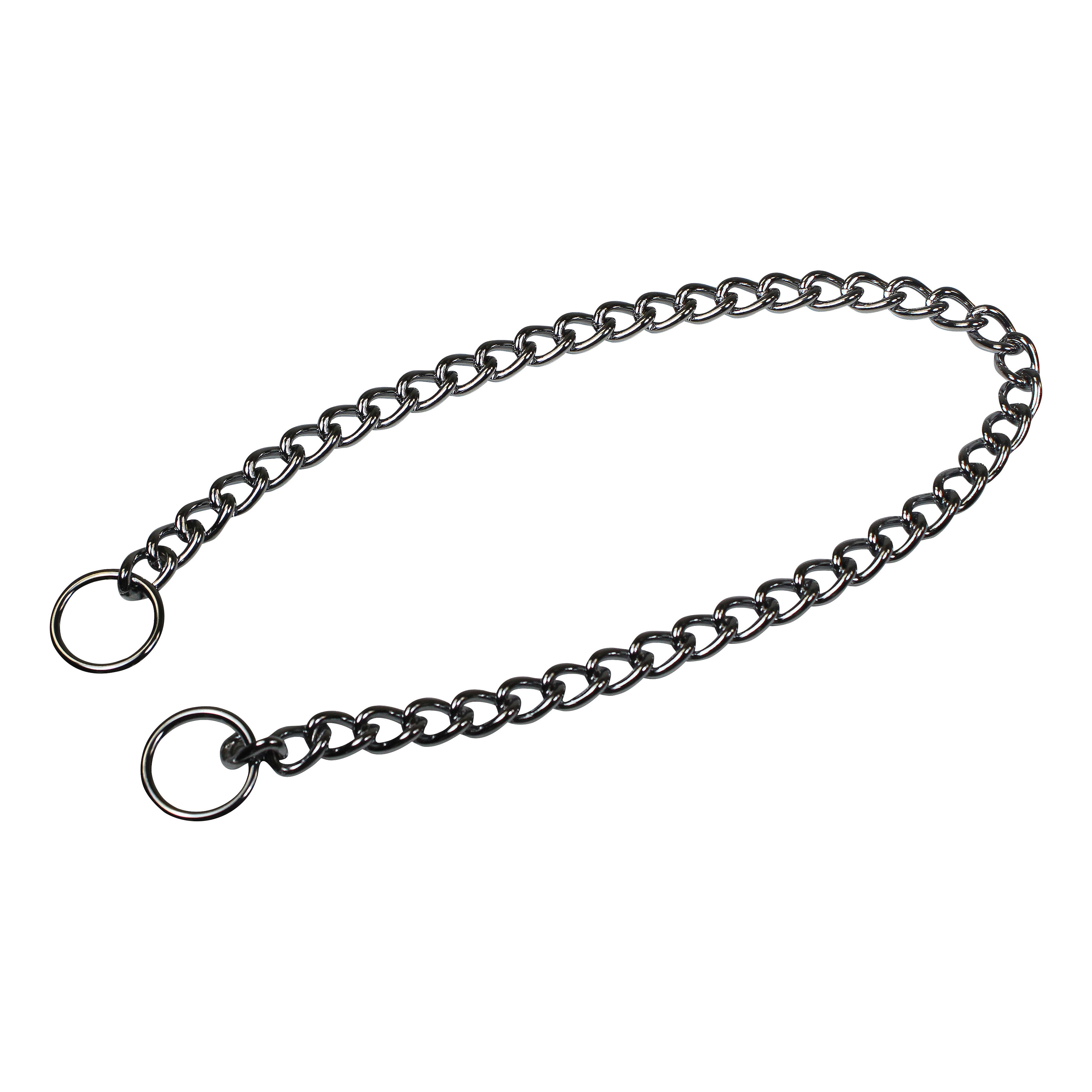 Dog collar and chain online
