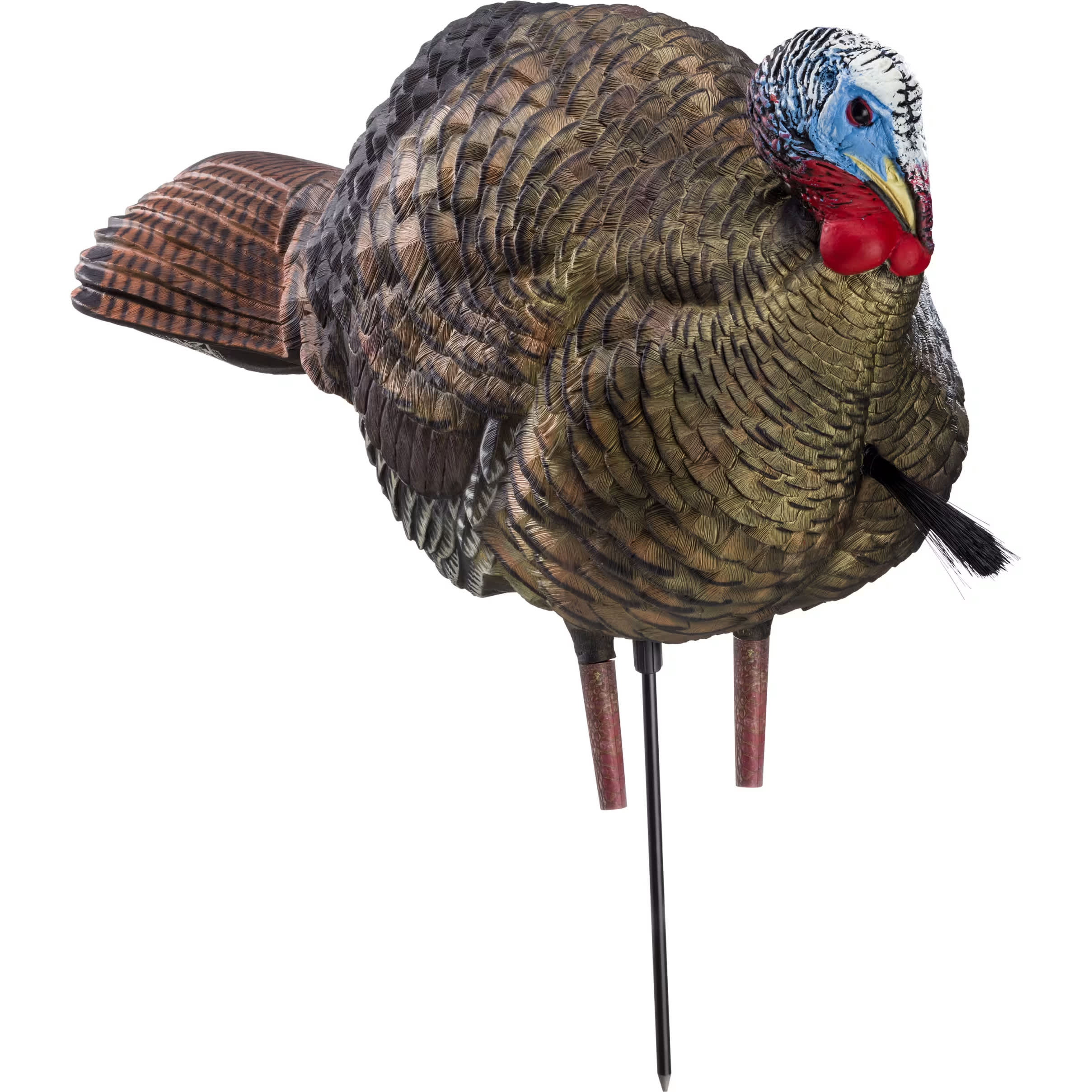 AvianX® LCD 1/2 Strut Jake Turkey Decoy Cabela's Canada