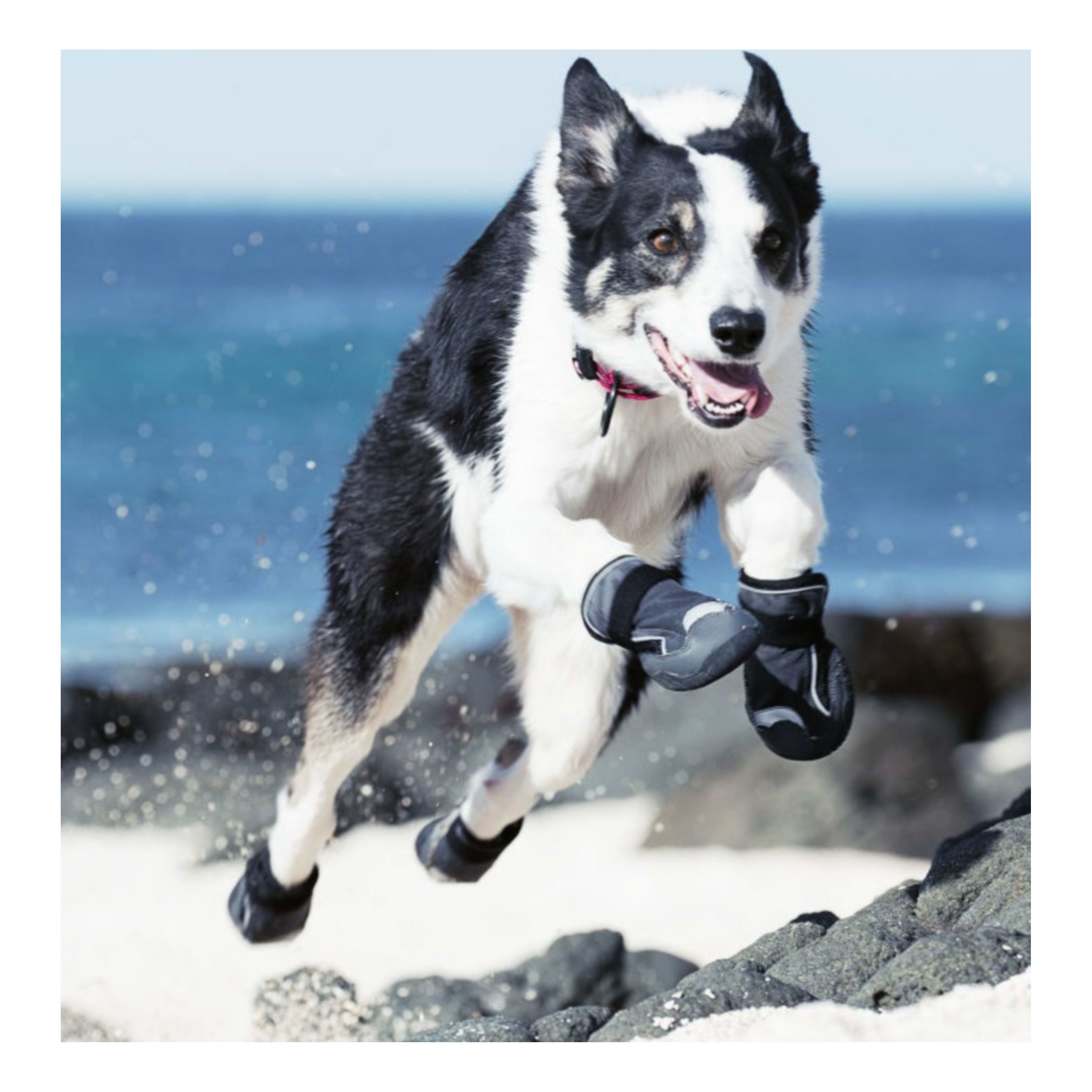 Cabelas cheap dog boots