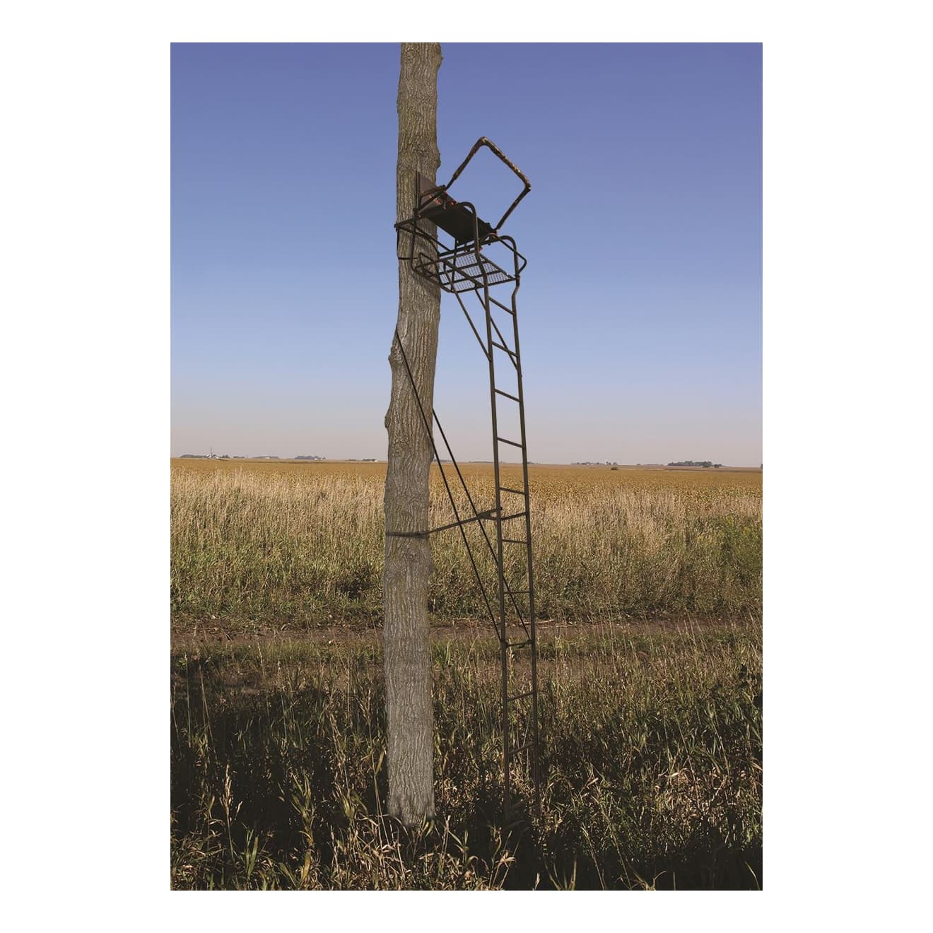 Big game hunter hd 1.5 ladder stand sales