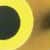 Brass/Chartreuse Eye