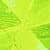 Chartreuse