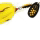 Yellow Blade/Yellow Tail